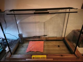 Acuario con filtros, luces y termómetros