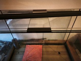 Acuario con filtros, luces y termómetros