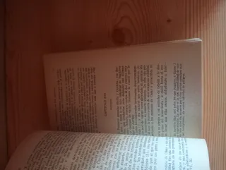 Grandeza y decadencia de los romanos