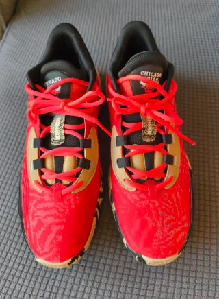 Zapatillas Baloncesto Nike Talla 45 Bulls