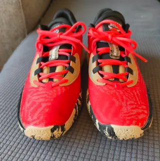 Zapatillas Baloncesto Nike Talla 45 Bulls