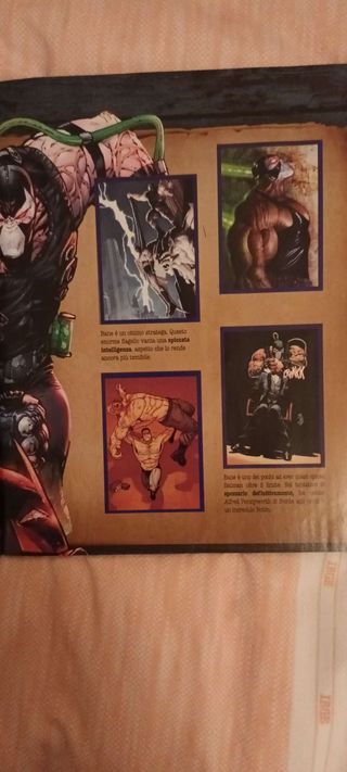Album Joker2026(15 mancanti)+17cards+fumetto