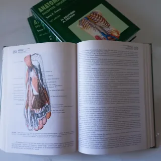 Anatomia Humana Rouviere
