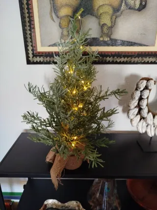 Albero di Natale con Luci LED