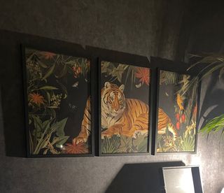 Conjunto 3 cuadros moderno de tigre y selva