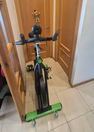 Bicicleta Spinning PT-1590 Salter