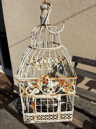 Jaulas Decorativas Vintage