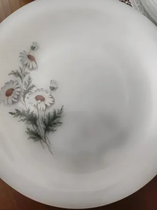 Arcopal Platos Llanos y Hondos Margaritas