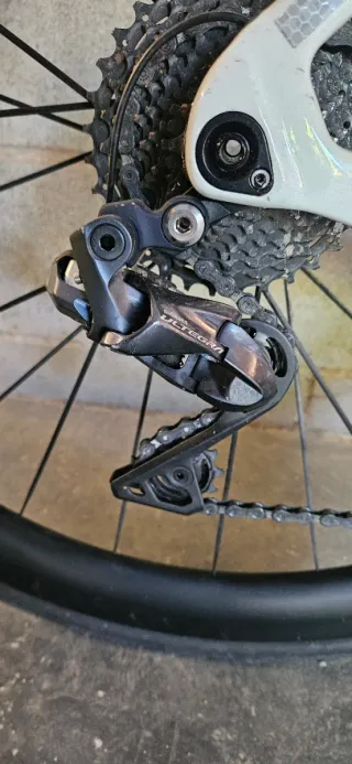 Megamo Pulse Elite 2023