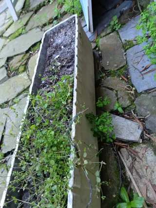 Macetero de piedra beige y gris