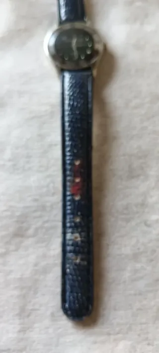 Reloj Pierre Rossini Cuarzo Esfera Negra