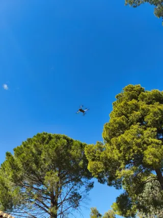 Drone DJI Mavic Pro Gris