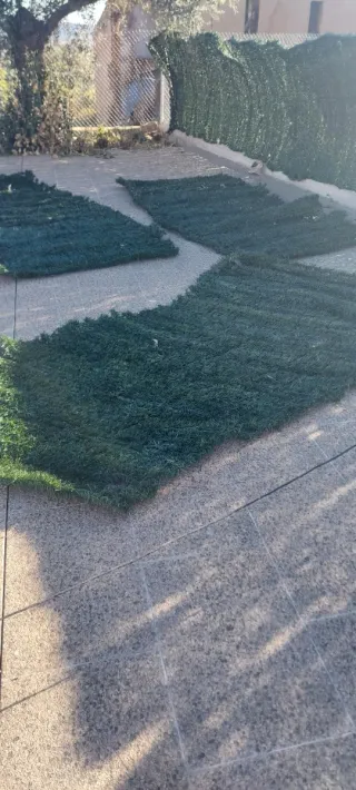 Setos verdes artificiales