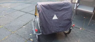 Remolque Bicicleta Infantil