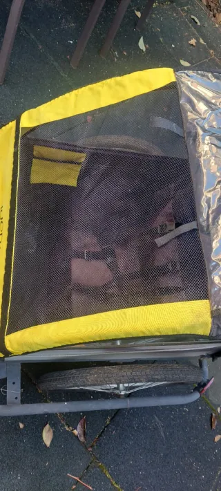 Remolque Bicicleta Infantil