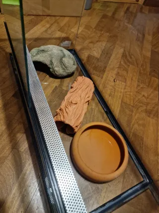 Terrario Creas Giungla 3 70x33x51