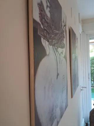 Conjunto de 4 cuadros decorativos