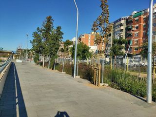 Local comercial en venta en Riu en Santa Coloma de Gramanet