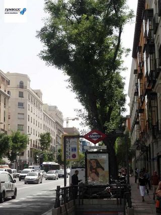 Garaje en alquiler en Recoletos en Madrid