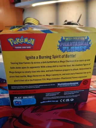 Kyurem, Dragapult EX, Noivern EX Cartas Pokémon