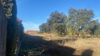 Solar en venta en Pepino