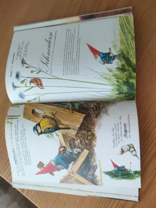 Libro de David El gnomo en alemán