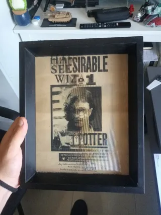 Cuadro Harry Potter Undesirables No. 1
