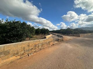 Terreno en venta en Ondara