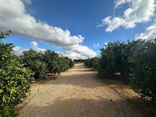 Terreno en venta en Ondara