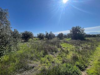 Terreno en venta en Alhendín