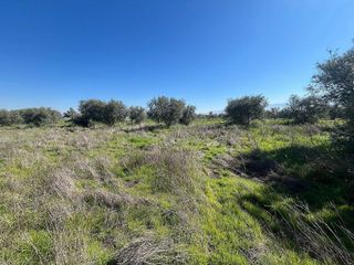 Terreno en venta en Alhendín