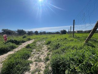 Terreno en venta en Alhendín