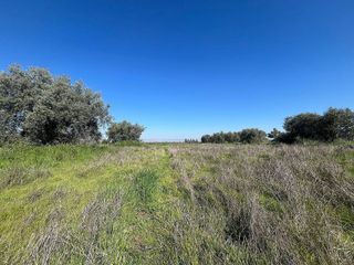 Terreno en venta en Alhendín