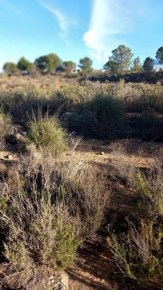 Terreno en venta en Castalla