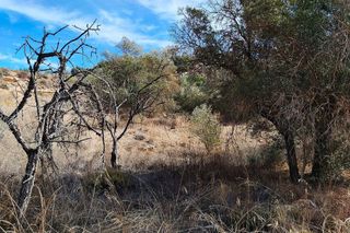 Terreno en venta en Caspe