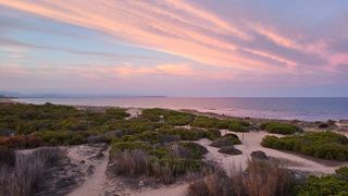 Piso en alquiler en Torrelamata - La Mata en Torrevieja