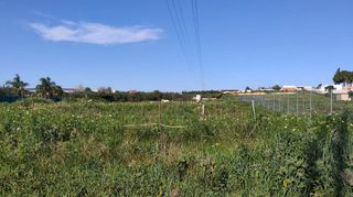 Terreno en venta en Coria del Río