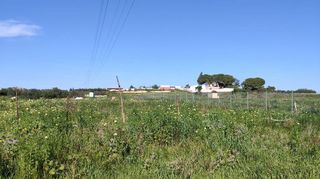 Terreno en venta en Coria del Río