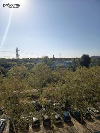 Piso en alquiler en Pino Montano - Consolación - Las Almenas en Sevilla