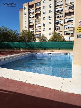 Piso en alquiler en Pino Montano - Consolación - Las Almenas en Sevilla