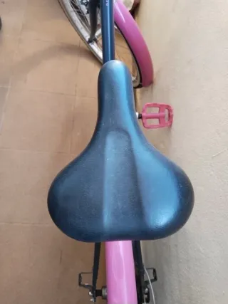 Bicicleta niña con ruedines