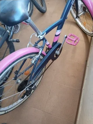 Bicicleta niña con ruedines