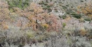 Terreno en venta en Villalbilla pueblo en Villalbilla