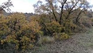 Terreno en venta en Villalbilla pueblo en Villalbilla