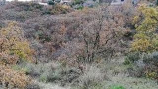 Terreno en venta en Villalbilla pueblo en Villalbilla