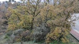 Terreno en venta en Villalbilla pueblo en Villalbilla