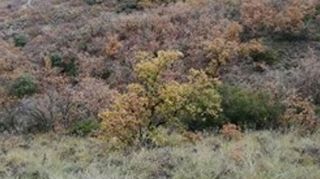 Terreno en venta en Villalbilla pueblo en Villalbilla