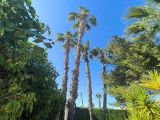 Chalet en venta en La Siesta - El Salado - Torreta en Torrevieja