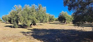 Terreno en venta en Bailén
