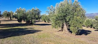 Terreno en venta en Bailén